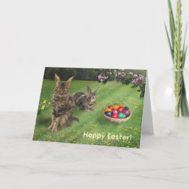 Pasen met kat-bundels;-) 😽 🐰 feestdagen kaart