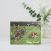 Pasen met kat-bundels;-) 😽 🐰 feestdagenkaart (Staand voorkant)