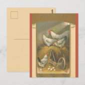 Pasen met oude kippen op hooi briefkaart (Voorkant / Achterkant)