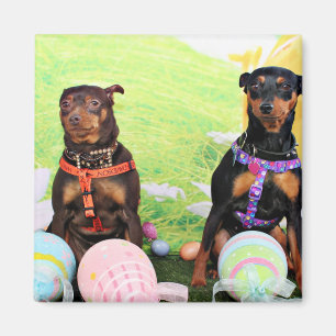 Pasen - Min Pin - Zena en Gidget Magneet