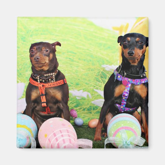 Pasen - Min Pin - Zena en Gidget Magneet (Voorkant)