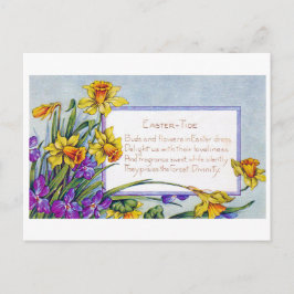 Pasen Narcissus Bloer Briefkaart