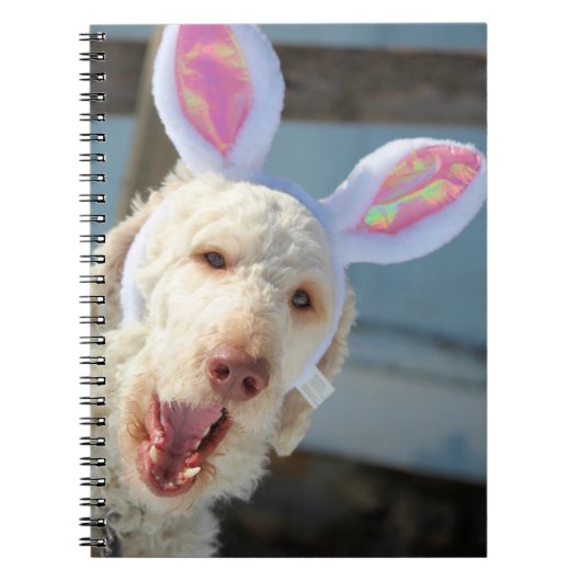 Pasen Ollie Notitieboek (Voorkant)