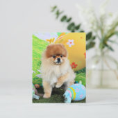 Pasen - Pommeren - Dexter Feestdagenkaart (Staand voorkant)