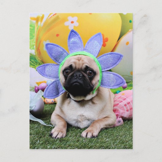 Pasen - Pug - Louie Feestdagenkaart (Voorkant)