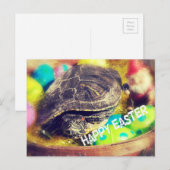 Pasen Schildpad Feestdagenkaart (Voorkant / Achterkant)