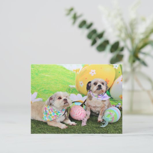 Pasen - Shih Tzu - Clementine en Winston Feestdagenkaart (Staand voorkant)