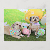 Pasen - Shih Tzu - Clementine en Winston Feestdagenkaart (Voorkant)