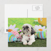 Pasen - Shih Tzu - Sophie Feestdagenkaart (Voorkant / Achterkant)