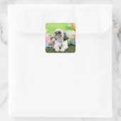 Pasen - Shih Tzu - Sophie Vierkante Sticker (Tas)