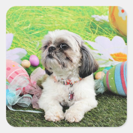 Pasen - Shih Tzu - Sophie Vierkante Sticker (Voorkant)