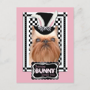 Pasen - Some Bunny Loves You - Brussels Griffon Feestdagenkaart