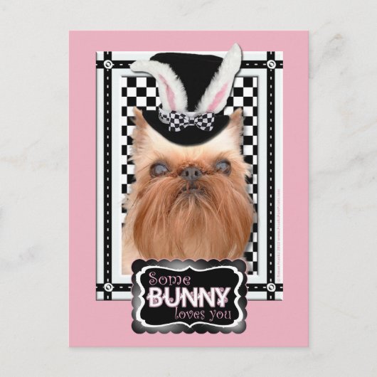Pasen - Some Bunny Loves You - Brussels Griffon Feestdagenkaart (Voorkant)