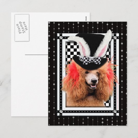 Pasen - Some Bunny Loves You - Poedel - Rood Feestdagenkaart (Voorkant / Achterkant)