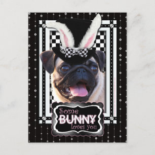 Pasen - Sommige Bunny houden van je - Pug Feestdagenkaart