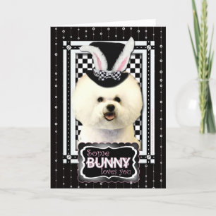 Pasen - Sommige konijntjes houden van je - Bichon Feestdagen Kaart