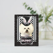 Pasen - Sommige konijntjes houden van je - Bichon  Feestdagenkaart (Staand voorkant)