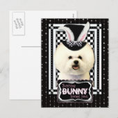 Pasen - Sommige konijntjes houden van je - Bichon  Feestdagenkaart (Voorkant / Achterkant)