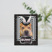 Pasen - Sommige konijntjes houden van je - Shar Pe Feestdagenkaart (Staand voorkant)