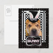 Pasen - Sommige konijntjes houden van je - Shar Pe Feestdagenkaart (Voorkant / Achterkant)