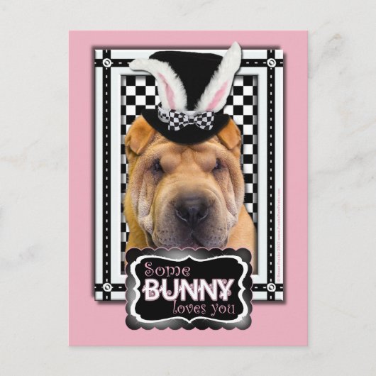 Pasen - Sommige konijntjes houden van je - Shar Pe Feestdagenkaart (Voorkant)