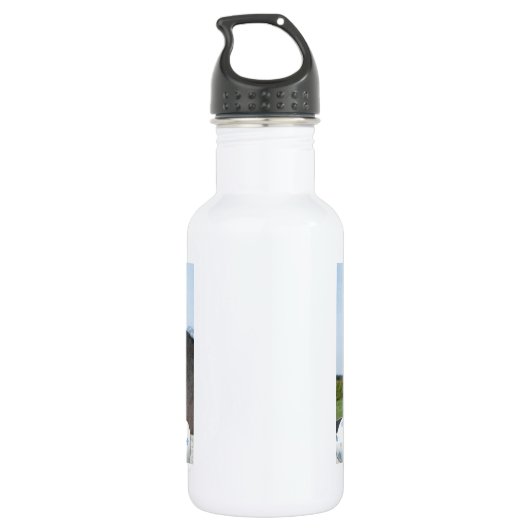 Pasen voor Pony en paarden Waterfles (Achterkant)