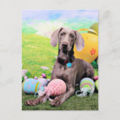 Pasen - Weimaraner - Ben Feestdagenkaart (Voorkant)