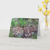 Pasen wenskaart kaart (Gele Bloem)
