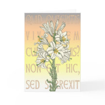 Pasen Wenskaart Luke 24:5