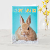 Pasen wenskaart met knuffelkonijn kaart (Gele Bloem)