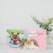 Pasen - Yorkshire Terrier - Sassy Feestdagenkaart (Staand voorkant)