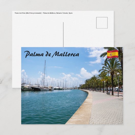 Paseo maritimo - Palma de Mallorca, Spanje Briefkaart (Voorkant / Achterkant)