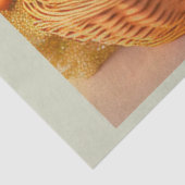 Pasgebak en korsteieren in een Collectie Tissuepapier (Detail)