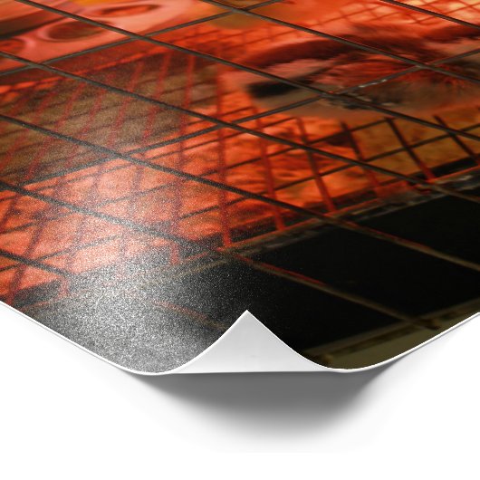 Pasgeboren Baby Chick in incubator Foto Afdruk (Hoek)