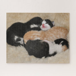 Pasgeboren Baby Kittens Legpuzzel