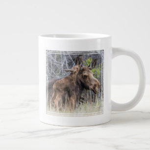 Pasgeboren elandkalf knuffelt met zijn moeder grote koffiekop