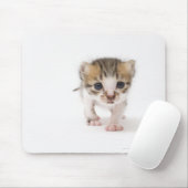 Pasgeboren kitten muismat (Met muis)
