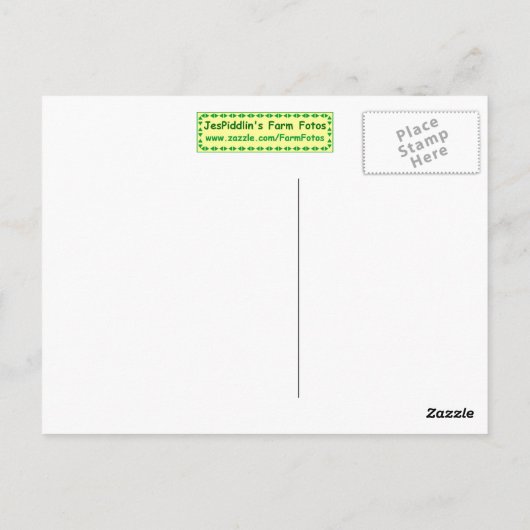 pasgeboren kuiken briefkaart (Achterkant)