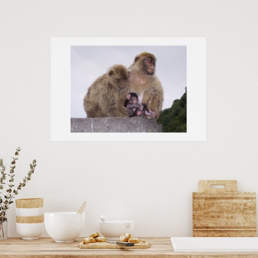 Pasgeboren Poster (Keuken)