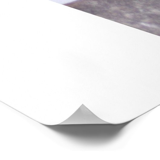 Pasgeboren Poster (Hoek)