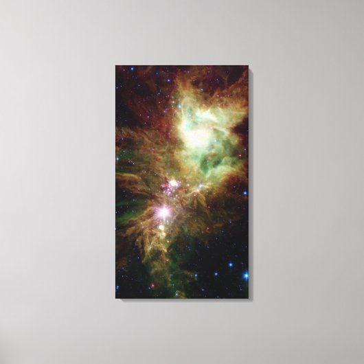 Pasgeboren sterren in het kerstboomcluster canvas afdruk (Voorkant)