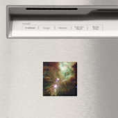 Pasgeboren sterren in het kerstboomcluster magneet (Insitu (Vaatwasser))