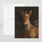Pasgeboren veulen schilderij briefkaart (Voorkant / Achterkant)