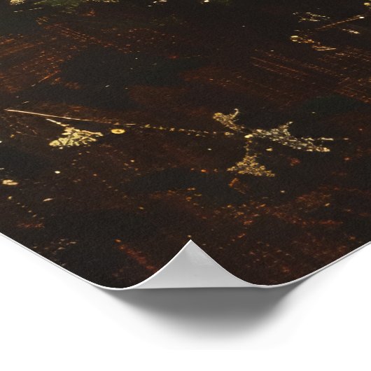 Pasgeboren veulen schilderij poster (Hoek)