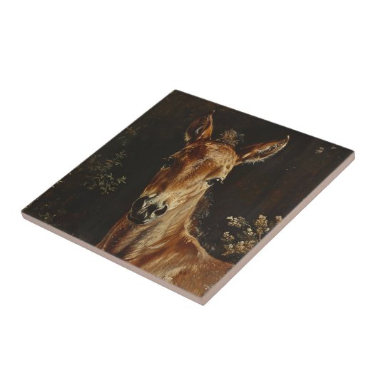 Pasgeboren veulen schilderij tegeltje (Zijkant)