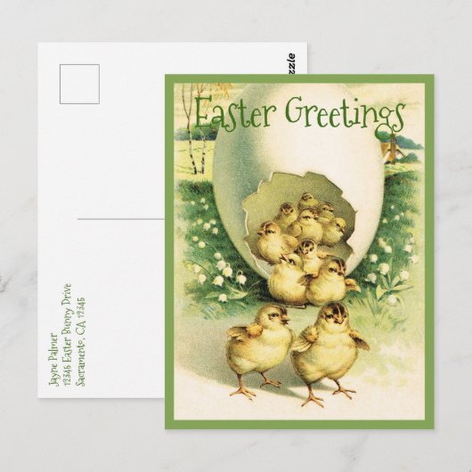  Pasgeborenen Briefkaart (Voorkant / Achterkant)