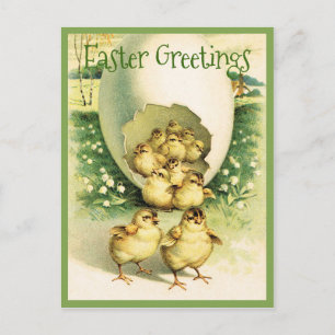  Pasgeborenen Briefkaart