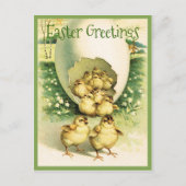  Pasgeborenen Briefkaart (Voorkant)