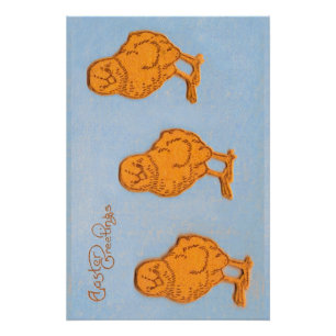 Pasgeborenen en kippen blauw perfect poster