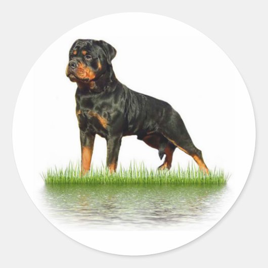 Pasha Earl Antonius Ronde Sticker (Voorkant)